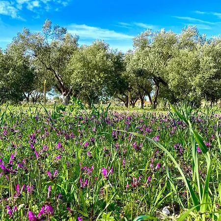 Alacati Barbarossa Çeşme