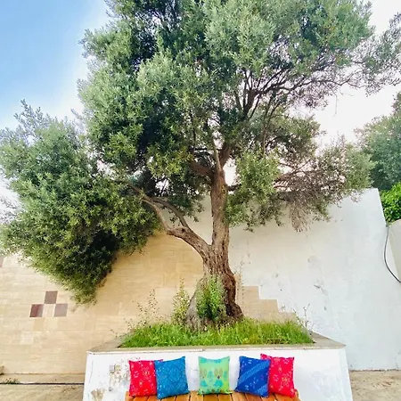 호텔 Alacati Barbarossa 3*