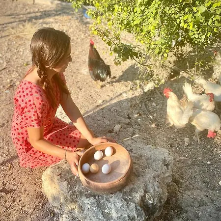 호텔 Alacati Barbarossa