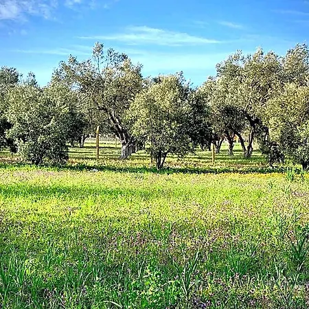 Alacati Barbarossa 3*