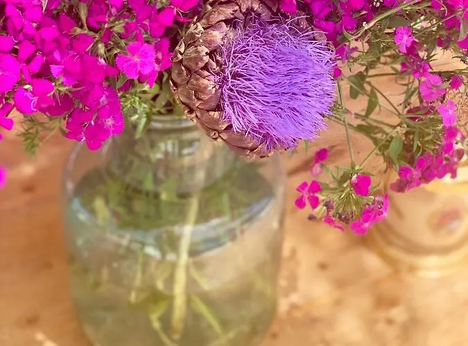 Hotel Alaçatı Barbarossa Çeşme